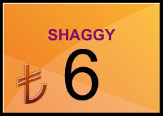 SHAGY